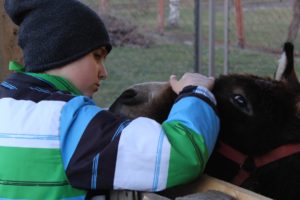 Żywa szopka, parafia Św. Brata Alberta Świebodzice