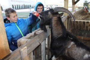 Żywa szopka, parafia Św. Brata Alberta Świebodzice